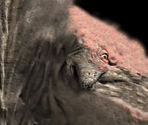 Entelodon - Wildlife Park 2