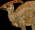 Parasaulophus Sculpture - Wildlife Park 2