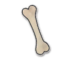 Bone - Paper Mario: Color Splash