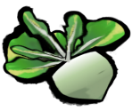 Radish - Okami
