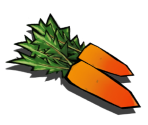 Ginseng - Okami