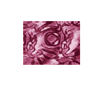 Vs Nitros Backgrounds - Bomberman Hero