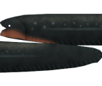 Electric Eel - Megaquarium