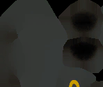 #197 Umbreon - Pokémon Mystery Dungeon: Rescue Team DX