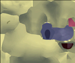 #078 Rapidash - Pokémon Mystery Dungeon: Rescue Team DX