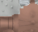 #127 Pinsir - Pokémon Mystery Dungeon: Rescue Team DX