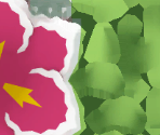 #154 Meganium - Pokémon Mystery Dungeon: Rescue Team DX