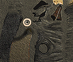 Anguirus - Godzilla Unleashed