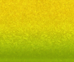 Lemon - Wii Sports Club