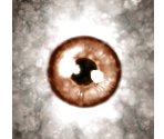 Orbb - Quake 3: Arena