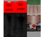 Meat Protestors - Postal 2