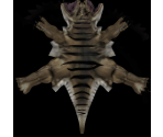 Raptor - Postal 2