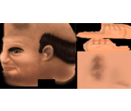 Roy - Shrek 2