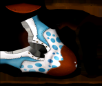 Clown Shoe - Showdown Bandit