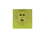 Shrek - Shrek SuperSlam