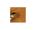 Puss in Boots - Shrek SuperSlam