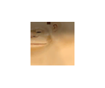 Quasimodo - Shrek SuperSlam
