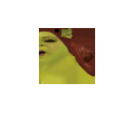Fiona Ogre - Shrek SuperSlam