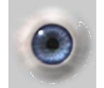 Eyes - Shark Tale