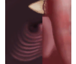 Shark Mouth - Shark Tale