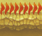 Nine Tail Crest - Pokémon Mystery Dungeon: Rescue Team DX