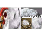Chicken - Shrek 2