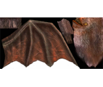 Bat - Shrek 2