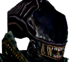 Alien Drone - Aliens Versus Predator 2