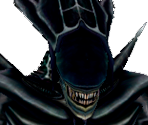 Praetorian - Aliens Versus Predator 2