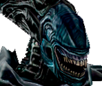 Alien Queen - Aliens Versus Predator 2