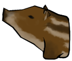 Boar Piglet - Okami