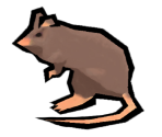 Mouse - Okami