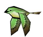 Nightingale - Okami