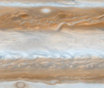 Jupiter - Cell to Singularity - Evolution Never Ends