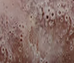 Pluto - Cell to Singularity - Evolution Never Ends