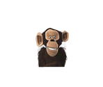 Chimps - Madagascar Kartz
