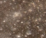 Callisto - Cell to Singularity - Evolution Never Ends