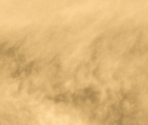 Venus - Cell to Singularity - Evolution Never Ends
