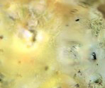 Io - Cell to Singularity - Evolution Never Ends