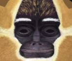 Monkey - Kung Fu Panda