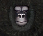 Great Gorilla - Kung Fu Panda