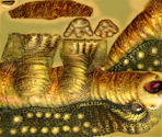 ThornTail - Star Fox Adventures