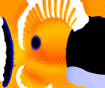 Tad - Finding Nemo