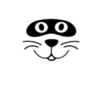 Raccoon - Roblox
