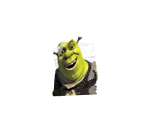 Shrek - Madagascar Kartz