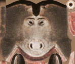 Donkey - Shrek Forever After