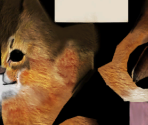 Somali - Purr Pals