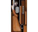 Double Shotgun - Serious Sam: The First Encounter