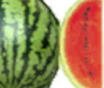 Watermelon - Ratatouille
