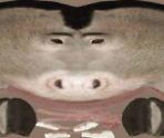 Donkey - DreamWorks Super Star Kartz